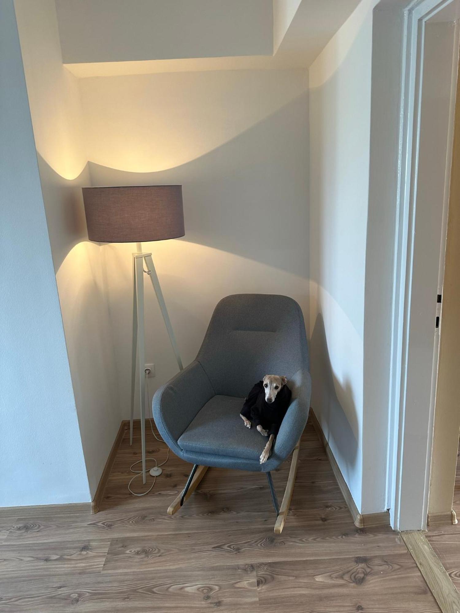Home Sweet Apartment Xl Bük Dış mekan fotoğraf